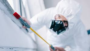 Best Real Estate Pest Inspections  in Barberton, OH